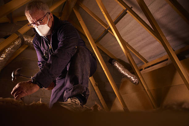Types of Insulation We Offer in Kelly Ridge, CA