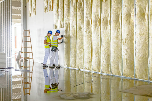 Best Fiberglass Insulation in Kelly Ridge, CA
